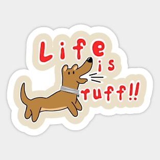 Funny Dog Sticker